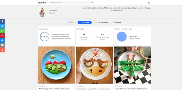 Gramhir – Instagram Profile Analyzer and Viewer Tool